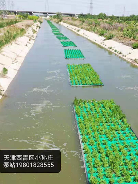 生態浮床